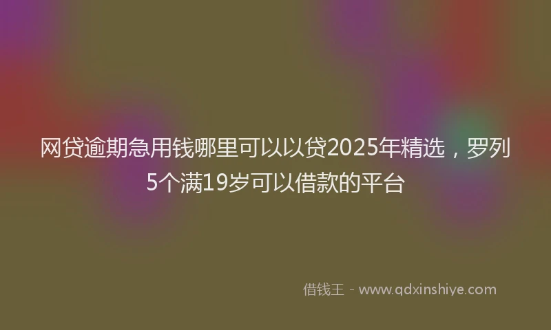 网贷逾期急用钱哪里可以以贷2025年精选，罗列5个满19岁可以借款的平台