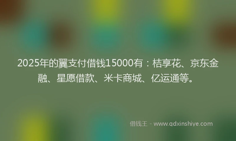 2025年的翼支付借钱15000有：桔享花、京东金融、星愿借款、米卡商城、亿运通等。