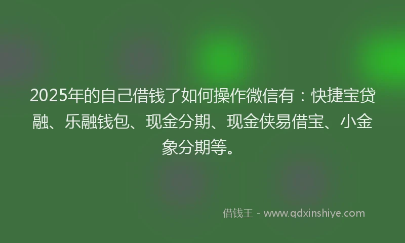 2025年的自己借钱了如何操作微信有：快捷宝贷融、乐融钱包、现金分期、现金侠易借宝、小金象分期等。