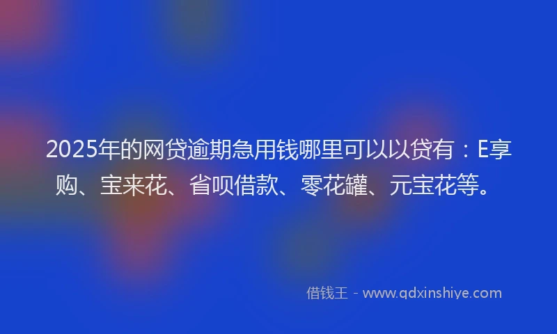 2025年的网贷逾期急用钱哪里可以以贷有：E享购、宝来花、省呗借款、零花罐、元宝花等。