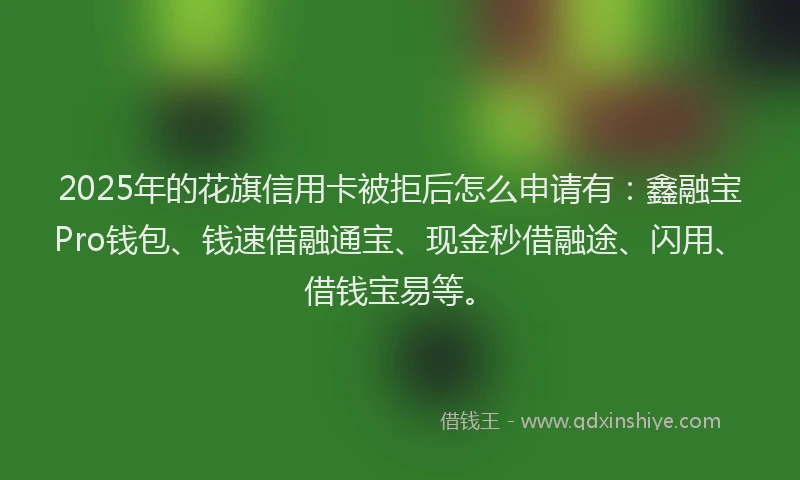 2025年的花旗信用卡被拒后怎么申请有：鑫融宝Pro钱包、钱速借融通宝、现金秒借融途、闪用、借钱宝易等。