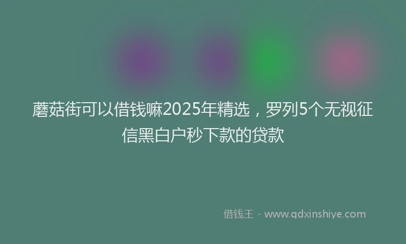 蘑菇街可以借钱嘛2025年精选，罗列5个无视征信黑白户秒下款的贷款
