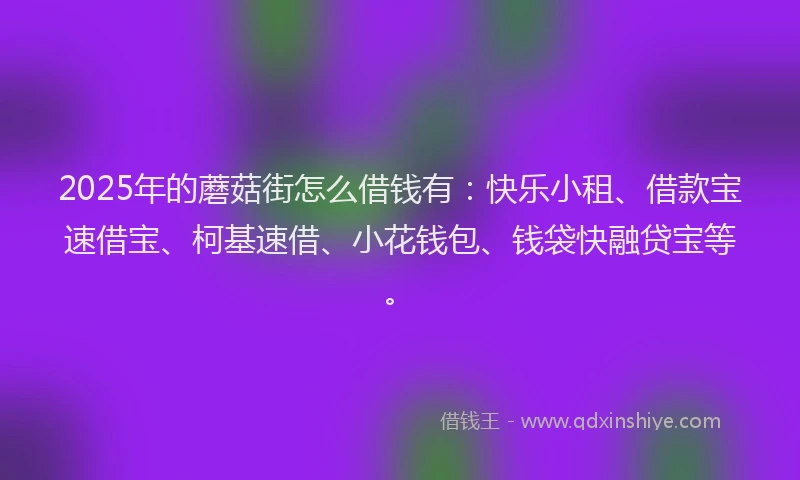 2025年的蘑菇街怎么借钱有：快乐小租、借款宝速借宝、柯基速借、小花钱包、钱袋快融贷宝等。
