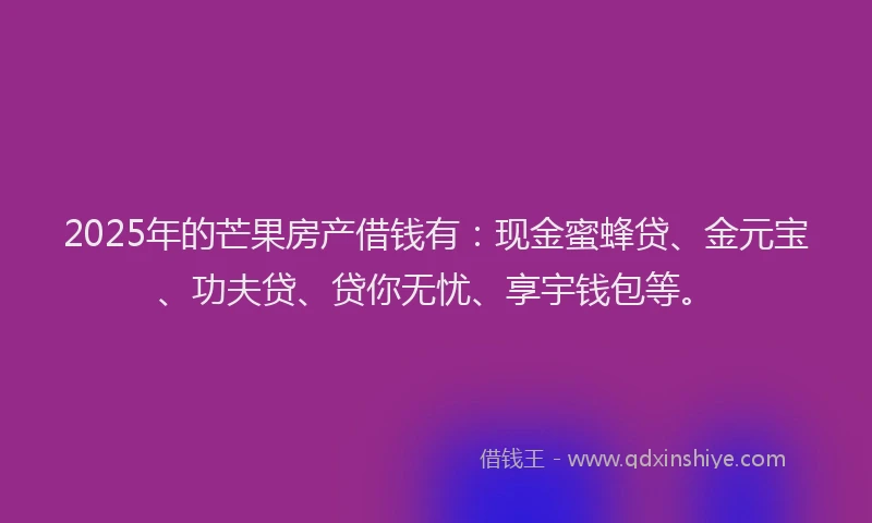 2025年的芒果房产借钱有：现金蜜蜂贷、金元宝、功夫贷、贷你无忧、享宇钱包等。