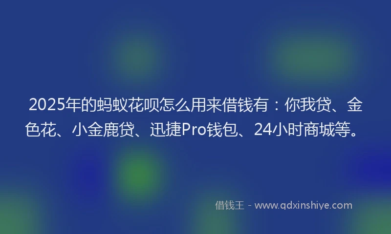 2025年的蚂蚁花呗怎么用来借钱有：你我贷、金色花、小金鹿贷、迅捷Pro钱包、24小时商城等。