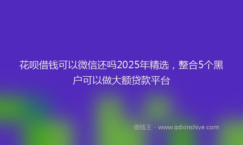 花呗借钱可以微信还吗2025年精选，整合5个黑户可以做大额贷款平台