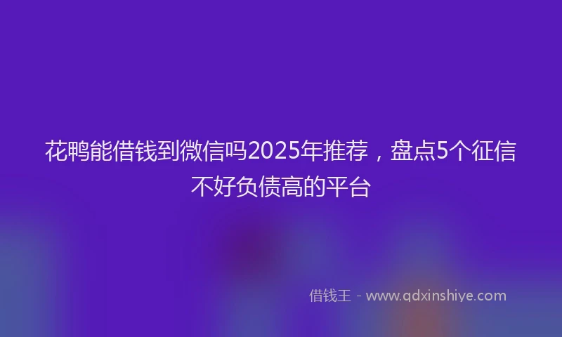 花鸭能借钱到微信吗2025年推荐，盘点5个征信不好负债高的平台