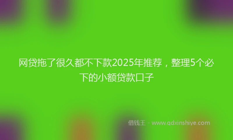 网贷拖了很久都不下款2025年推荐，整理5个必下的小额贷款口子