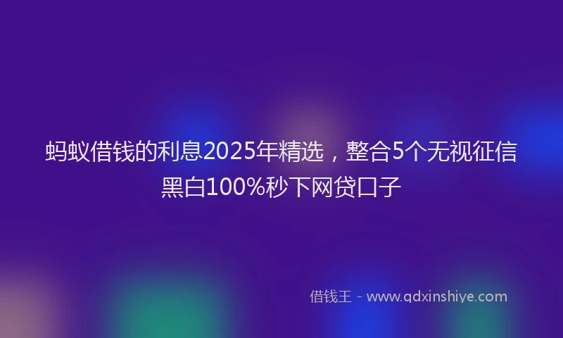蚂蚁借钱的利息2025年精选，整合5个无视征信黑白100%秒下网贷口子
