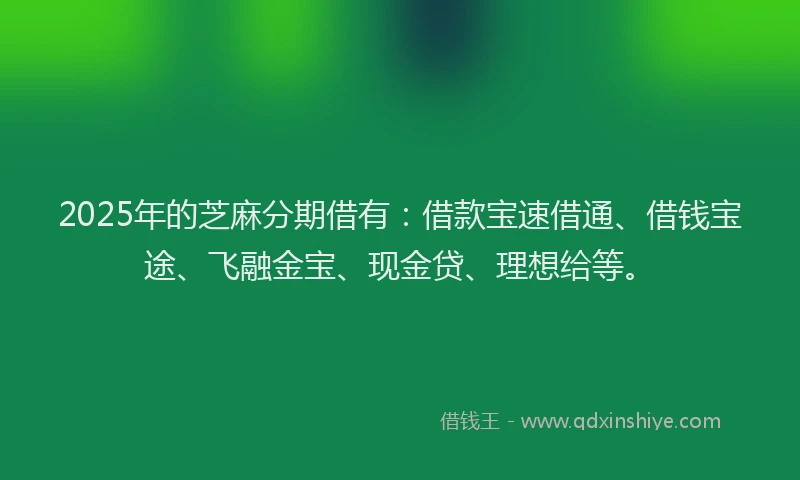 2025年的芝麻分期借有：借款宝速借通、借钱宝途、飞融金宝、现金贷、理想给等。