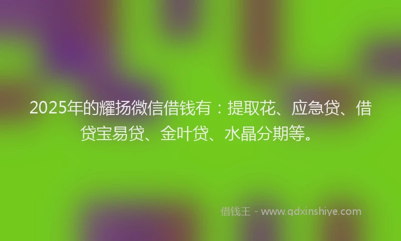 2025年的耀扬微信借钱有：提取花、应急贷、借贷宝易贷、金叶贷、水晶分期等。