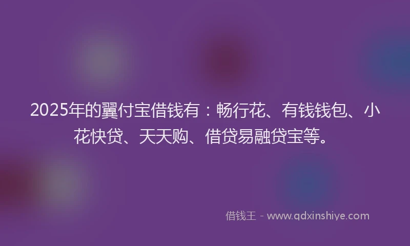 2025年的翼付宝借钱有：畅行花、有钱钱包、小花快贷、天天购、借贷易融贷宝等。
