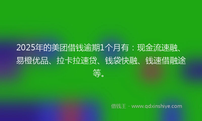 2025年的美团借钱逾期1个月有：现金流速融、易橙优品、拉卡拉速贷、钱袋快融、钱速借融途等。