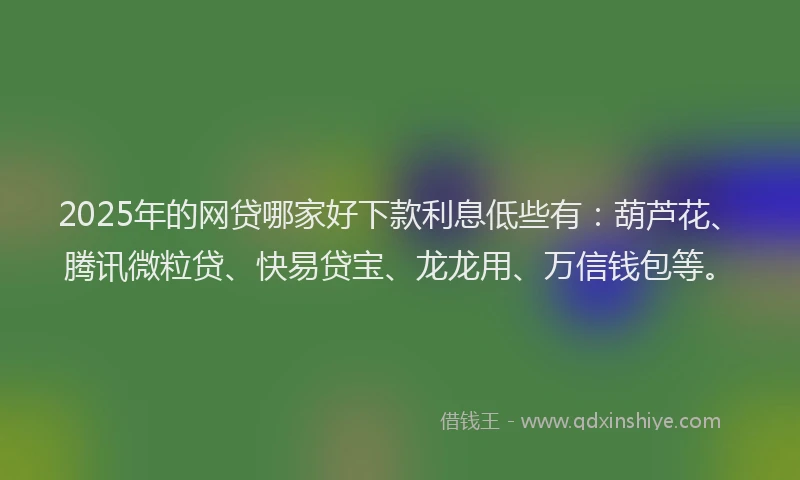 2025年的网贷哪家好下款利息低些有：葫芦花、腾讯微粒贷、快易贷宝、龙龙用、万信钱包等。