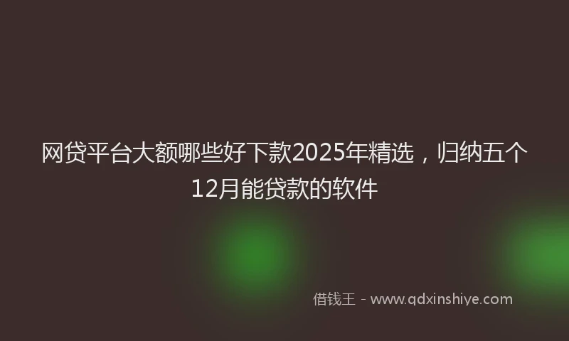 网贷平台大额哪些好下款2025年精选，归纳五个12月能贷款的软件