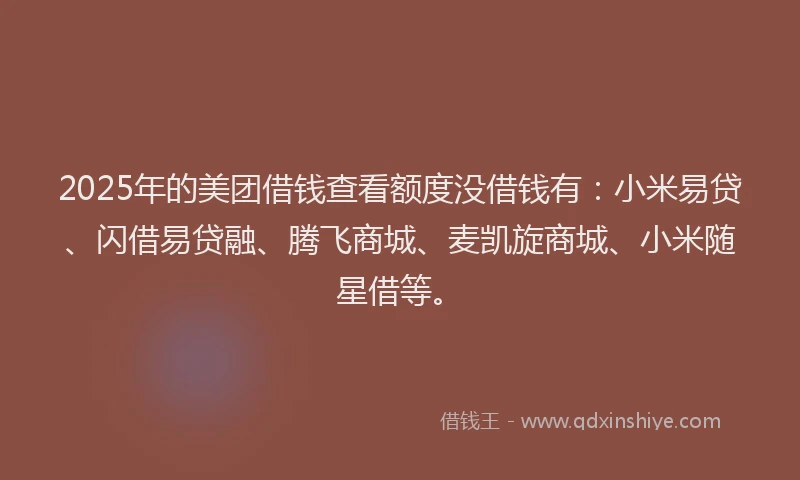 2025年的美团借钱查看额度没借钱有：小米易贷、闪借易贷融、腾飞商城、麦凯旋商城、小米随星借等。