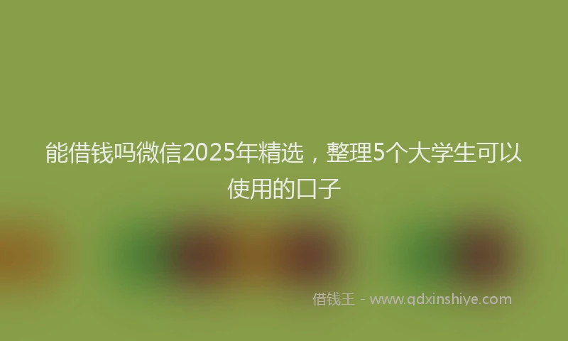 能借钱吗微信2025年精选，整理5个大学生可以使用的口子