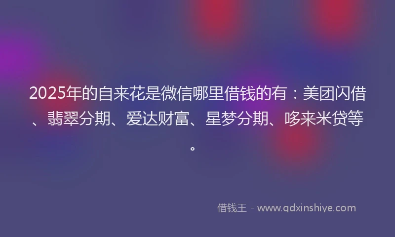 2025年的自来花是微信哪里借钱的有：美团闪借、翡翠分期、爱达财富、星梦分期、哆来米贷等。