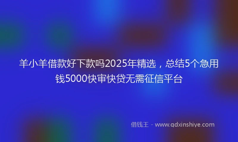 羊小羊借款好下款吗2025年精选，总结5个急用钱5000快审快贷无需征信平台