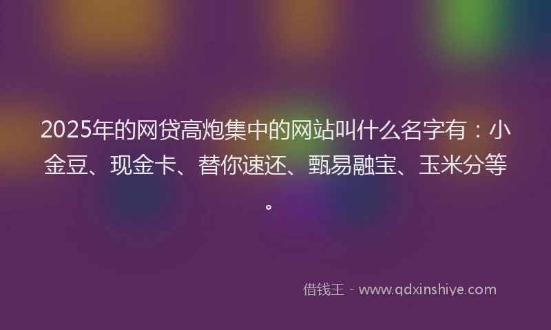 2025年的网贷高炮集中的网站叫什么名字有：小金豆、现金卡、替你速还、甄易融宝、玉米分等。