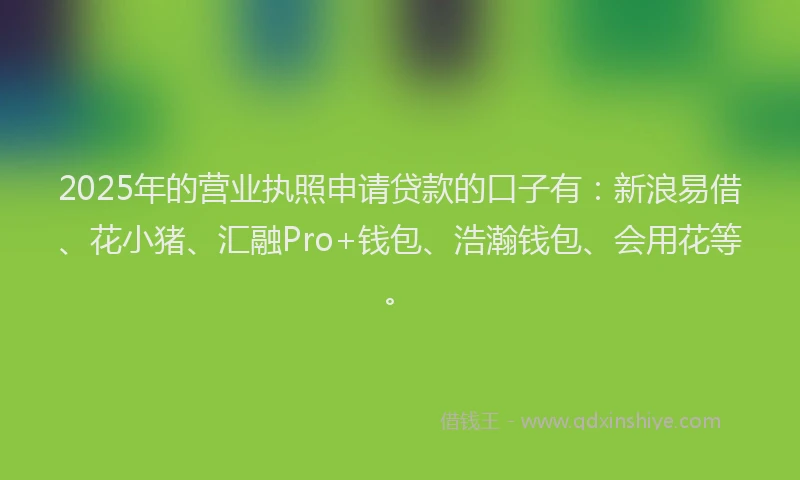 2025年的营业执照申请贷款的口子有：新浪易借、花小猪、汇融Pro+钱包、浩瀚钱包、会用花等。