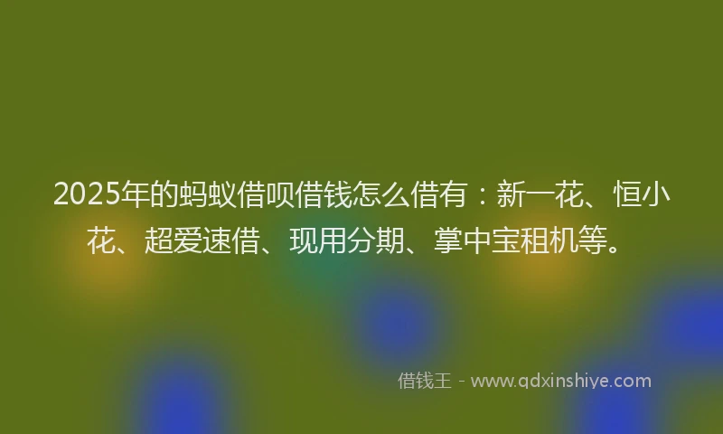 2025年的蚂蚁借呗借钱怎么借有：新一花、恒小花、超爱速借、现用分期、掌中宝租机等。