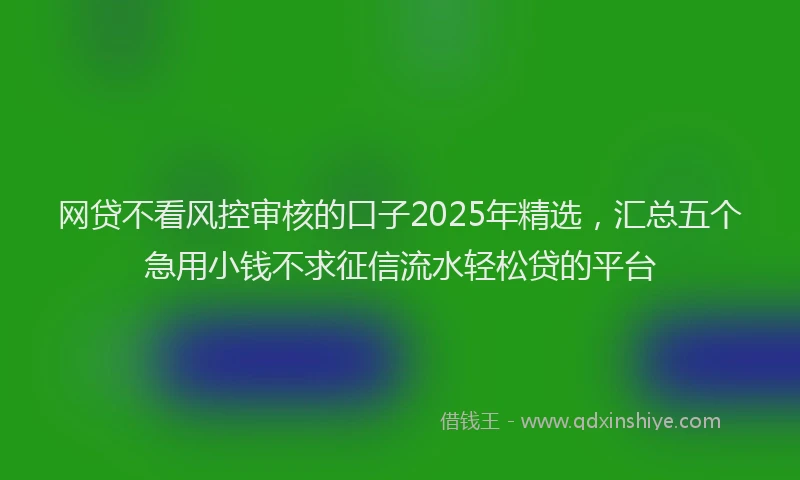 网贷不看风控审核的口子2025年精选，汇总五个急用小钱不求征信流水轻松贷的平台