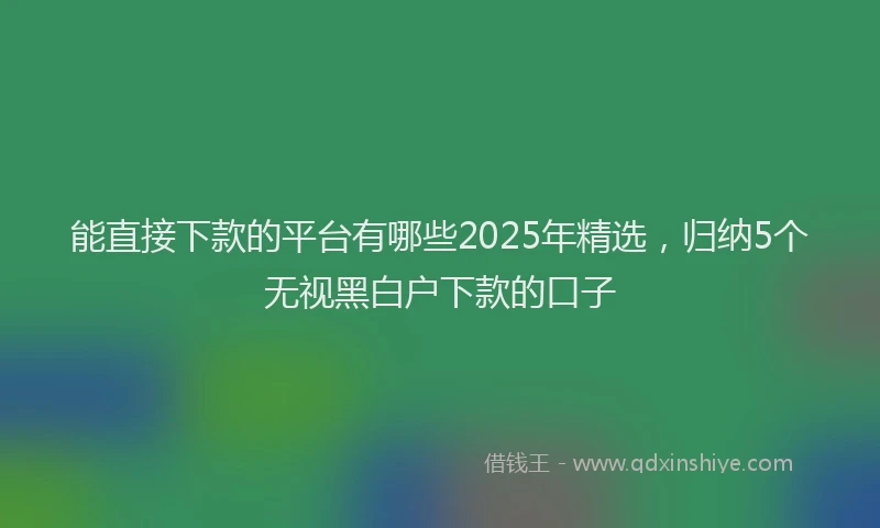 能直接下款的平台有哪些2025年精选，归纳5个无视黑白户下款的口子