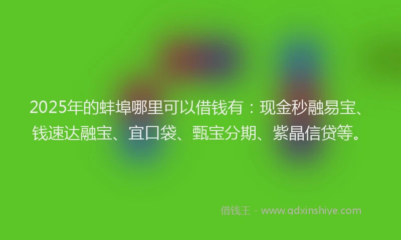 2025年的蚌埠哪里可以借钱有：现金秒融易宝、钱速达融宝、宜口袋、甄宝分期、紫晶信贷等。