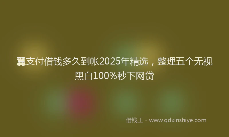 翼支付借钱多久到帐2025年精选，整理五个无视黑白100%秒下网贷