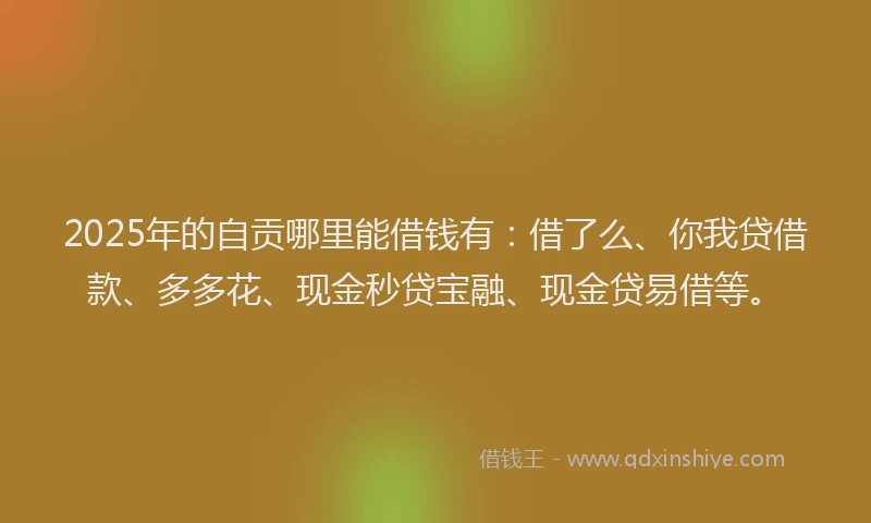 2025年的自贡哪里能借钱有：借了么、你我贷借款、多多花、现金秒贷宝融、现金贷易借等。