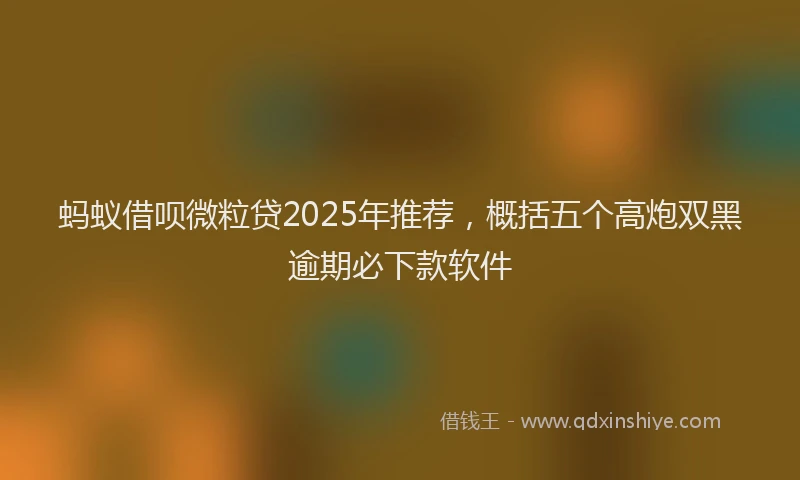蚂蚁借呗微粒贷2025年推荐，概括五个高炮双黑逾期必下款软件