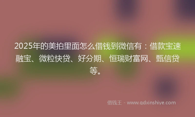 2025年的美拍里面怎么借钱到微信有：借款宝速融宝、微粒快贷、好分期、恒瑞财富网、甄信贷等。