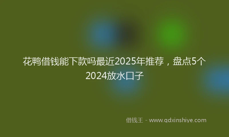 花鸭借钱能下款吗最近2025年推荐，盘点5个2024放水口子