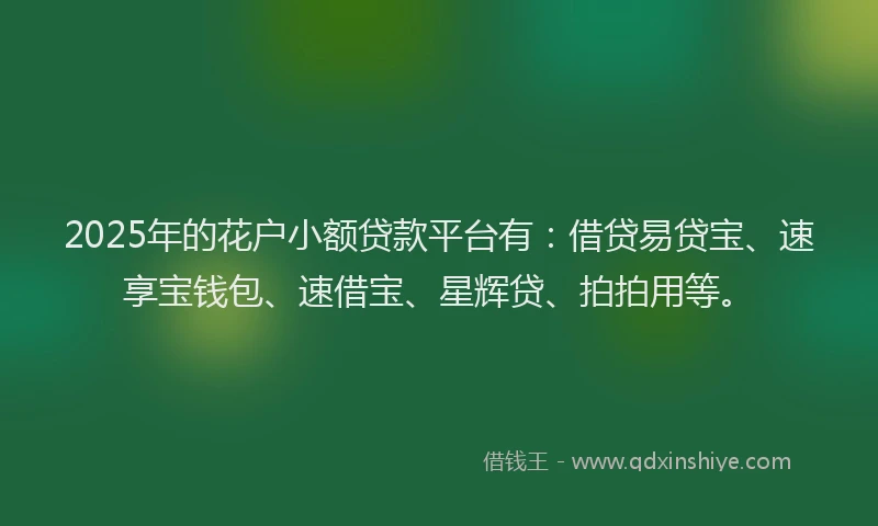 2025年的花户小额贷款平台有：借贷易贷宝、速享宝钱包、速借宝、星辉贷、拍拍用等。