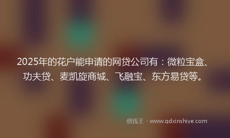 2025年的花户能申请的网贷公司有：微粒宝盒、功夫贷、麦凯旋商城、飞融宝、东方易贷等。