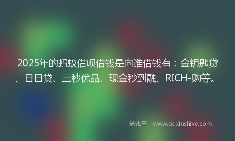 2025年的蚂蚁借呗借钱是向谁借钱有：金钥匙贷、日日贷、三秒优品、现金秒到融、RICH-购等。