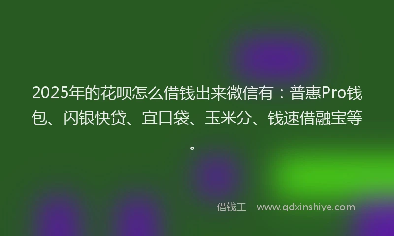 2025年的花呗怎么借钱出来微信有：普惠Pro钱包、闪银快贷、宜口袋、玉米分、钱速借融宝等。