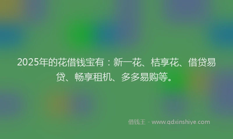 2025年的花借钱宝有：新一花、桔享花、借贷易贷、畅享租机、多多易购等。