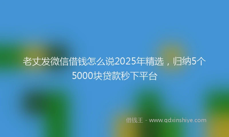 老丈发微信借钱怎么说2025年精选，归纳5个5000块贷款秒下平台