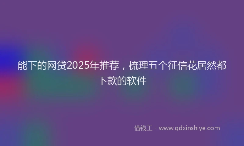能下的网贷2025年推荐，梳理五个征信花居然都下款的软件
