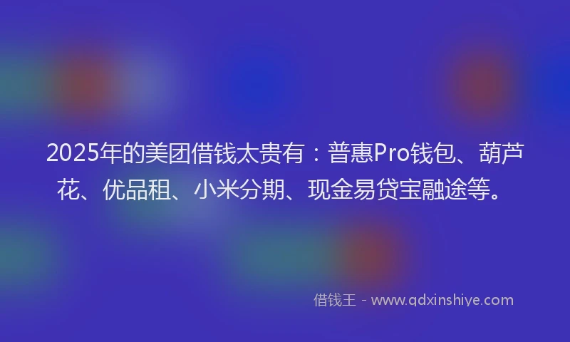 2025年的美团借钱太贵有：普惠Pro钱包、葫芦花、优品租、小米分期、现金易贷宝融途等。