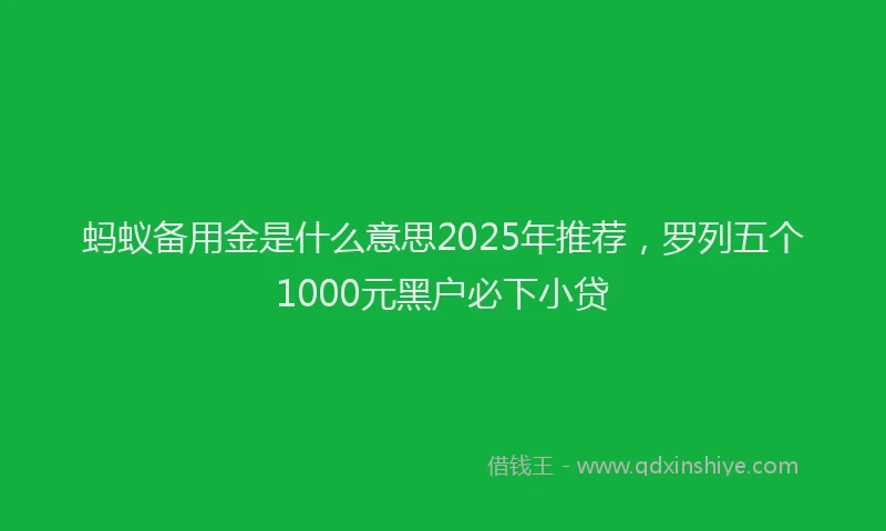 蚂蚁备用金是什么意思2025年推荐，罗列五个1000元黑户必下小贷