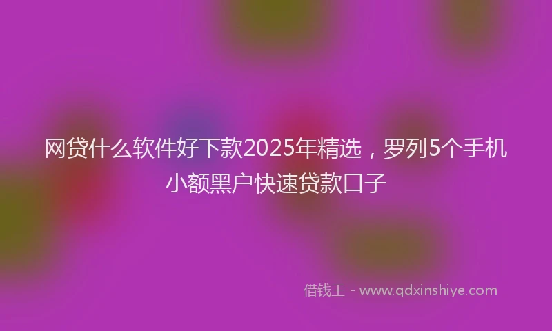 网贷什么软件好下款2025年精选，罗列5个手机小额黑户快速贷款口子