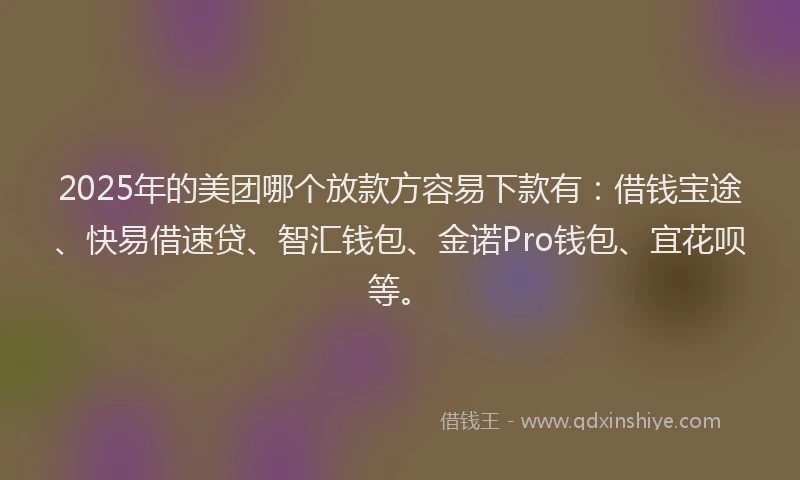 2025年的美团哪个放款方容易下款有：借钱宝途、快易借速贷、智汇钱包、金诺Pro钱包、宜花呗等。