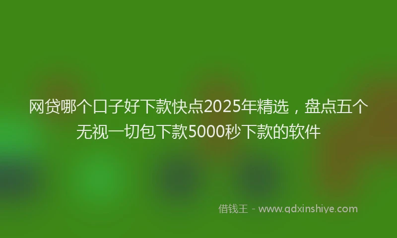 网贷哪个口子好下款快点2025年精选，盘点五个无视一切包下款5000秒下款的软件