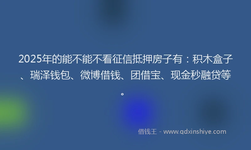 2025年的能不能不看征信抵押房子有：积木盒子、瑞泽钱包、微博借钱、团借宝、现金秒融贷等。