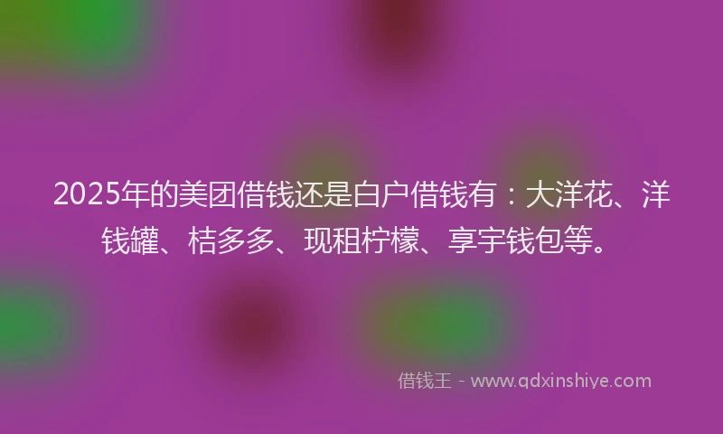 2025年的美团借钱还是白户借钱有：大洋花、洋钱罐、桔多多、现租柠檬、享宇钱包等。