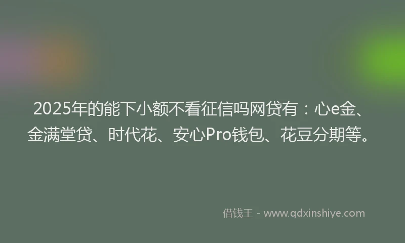 2025年的能下小额不看征信吗网贷有：心e金、金满堂贷、时代花、安心Pro钱包、花豆分期等。