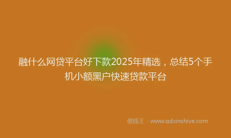 融什么网贷平台好下款2025年精选，总结5个手机小额黑户快速贷款平台